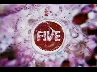Thumbnail image for Five (CSI)  - 2010