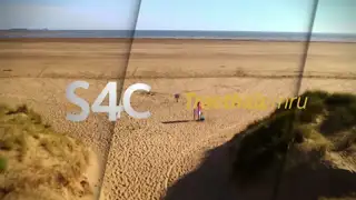 Thumbnail image for S4C (Beach Week - Dunes Short)  - 2021