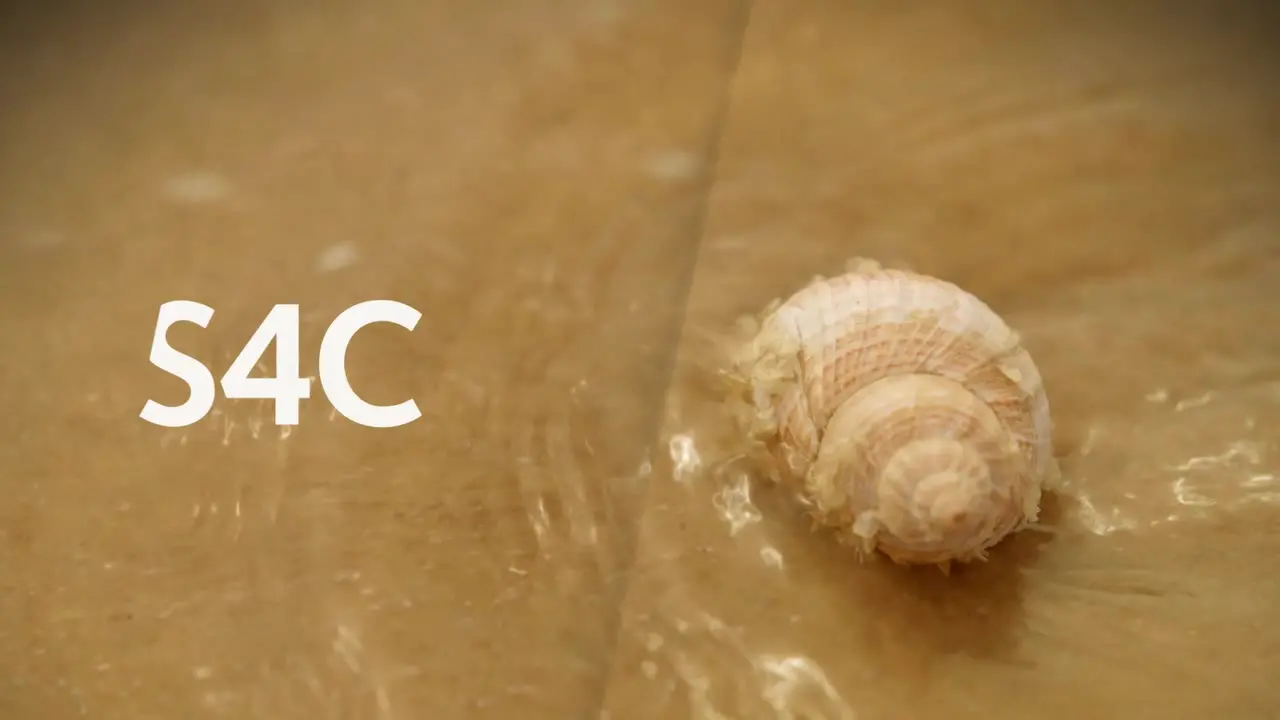 Thumbnail image for S4C (Beach Week - Break)  - 2021