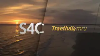 Thumbnail image for S4C (Beach Week - Evening Mid)  - 2021