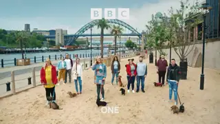Thumbnail image for BBC One (Sausage Dog Walkers)  - October 2021
