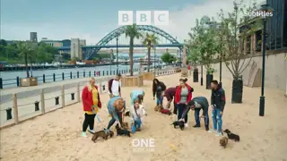 Thumbnail image for BBC One Scotland (Sausage Dog Walkers)  - October 2021