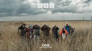 Thumbnail image for BBC One NI (Birdwatchers)  - October 2021