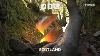 Thumbnail image for BBC Scotland (Squirrel)  - 2021