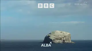 Thumbnail image for BBC Alba (Bass Rock)  - 2021