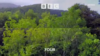 Thumbnail image for BBC Four (Forest)  - 2021