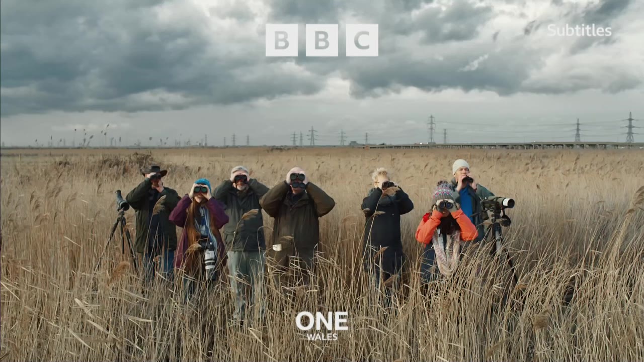 Thumbnail image for BBC One Wales (Birdwatchers)  - October 2021