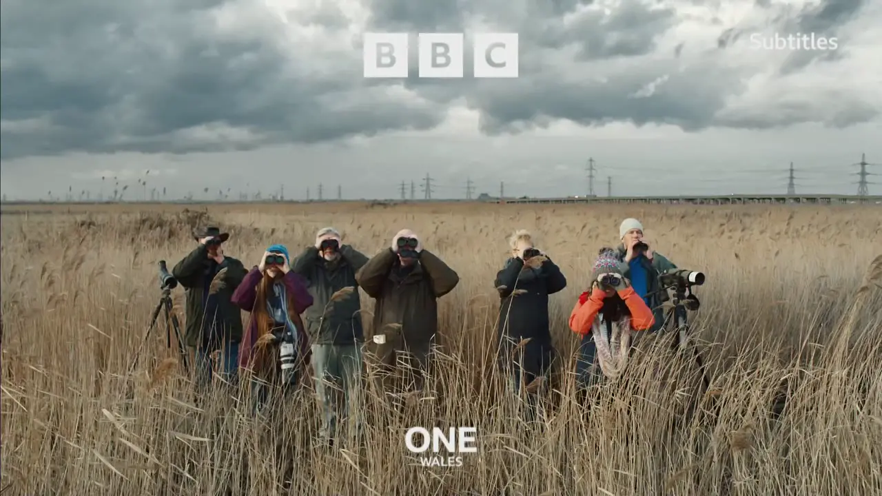 Thumbnail image for BBC One Wales (Birdwatchers)  - October 2021