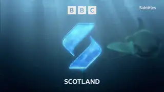 Thumbnail image for BBC Scotland (Shark)  - 2021