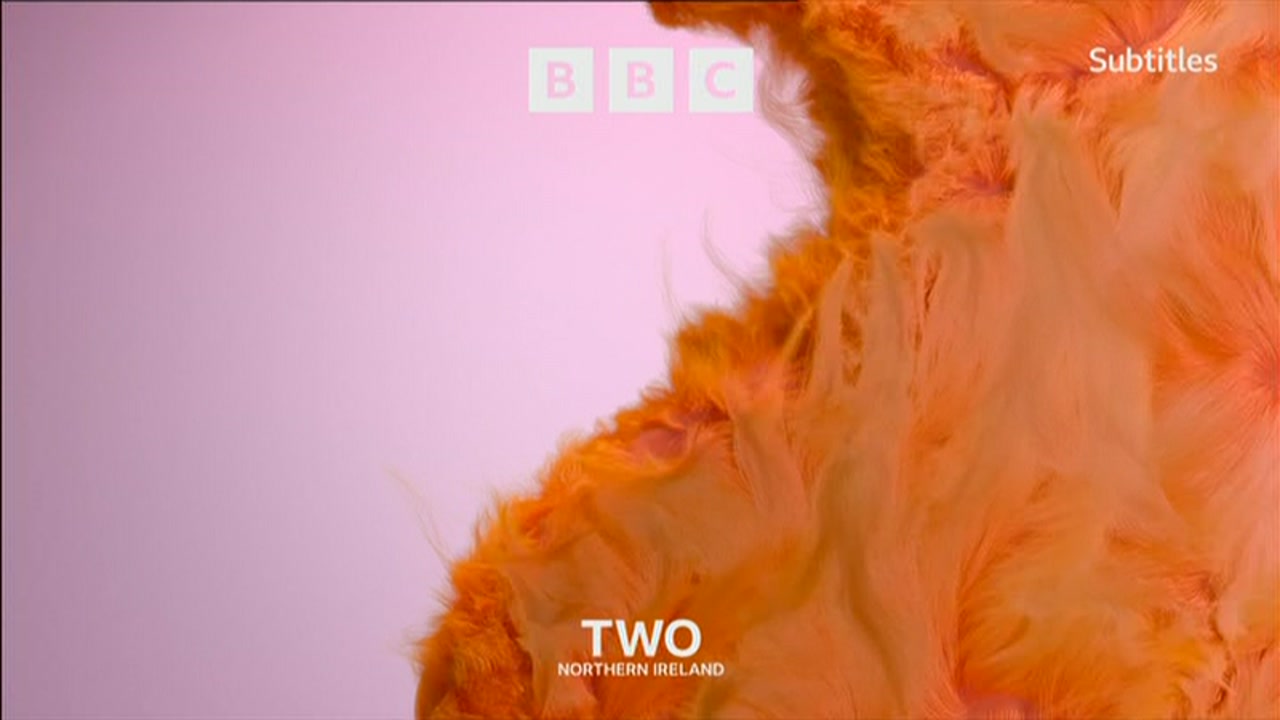 Thumbnail image for BBC Two NI (Fluffy/Offbeat)  - October 2021