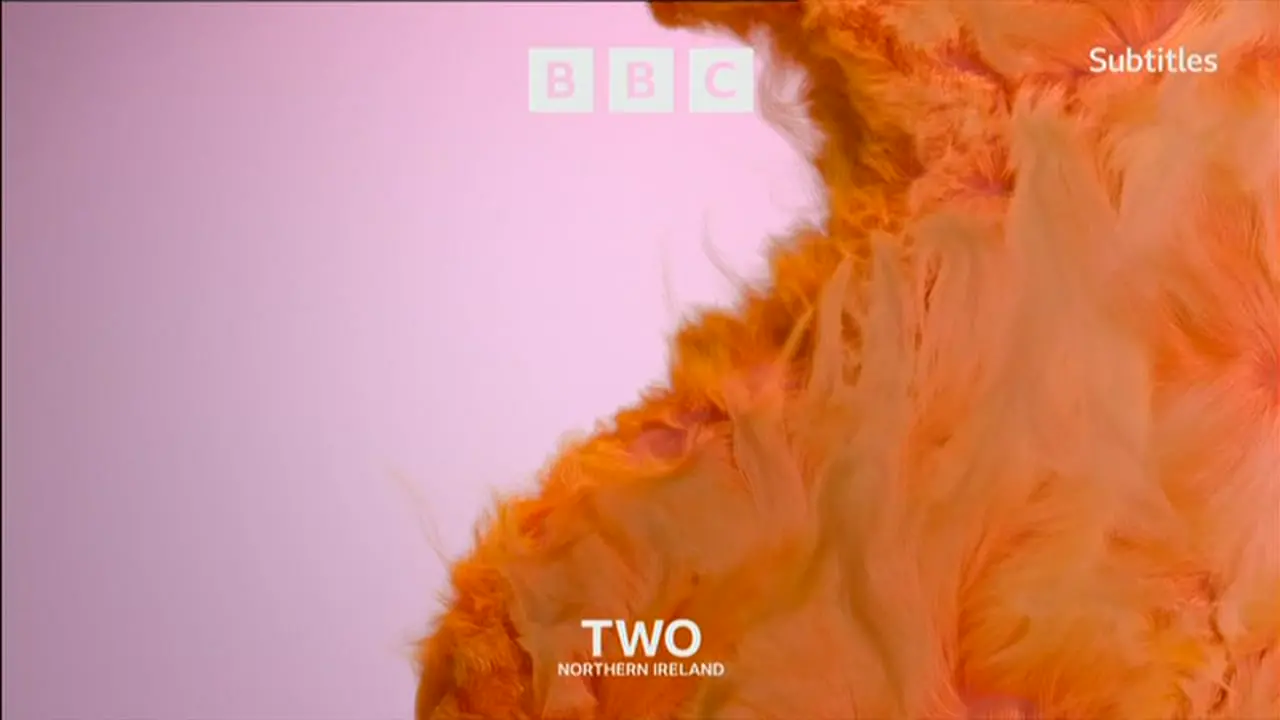 Thumbnail image for BBC Two NI (Fluffy/Offbeat)  - October 2021