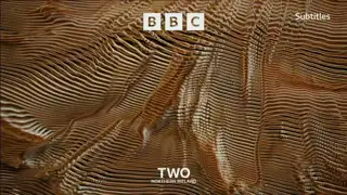 Thumbnail image for BBC Two NI (Brown Pins/Visceral)  - October 2021