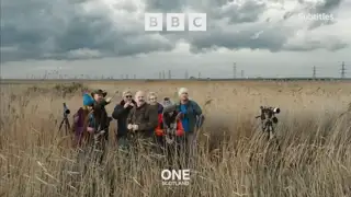 Thumbnail image for BBC One Scotland (Birdwatchers)  - October 2021