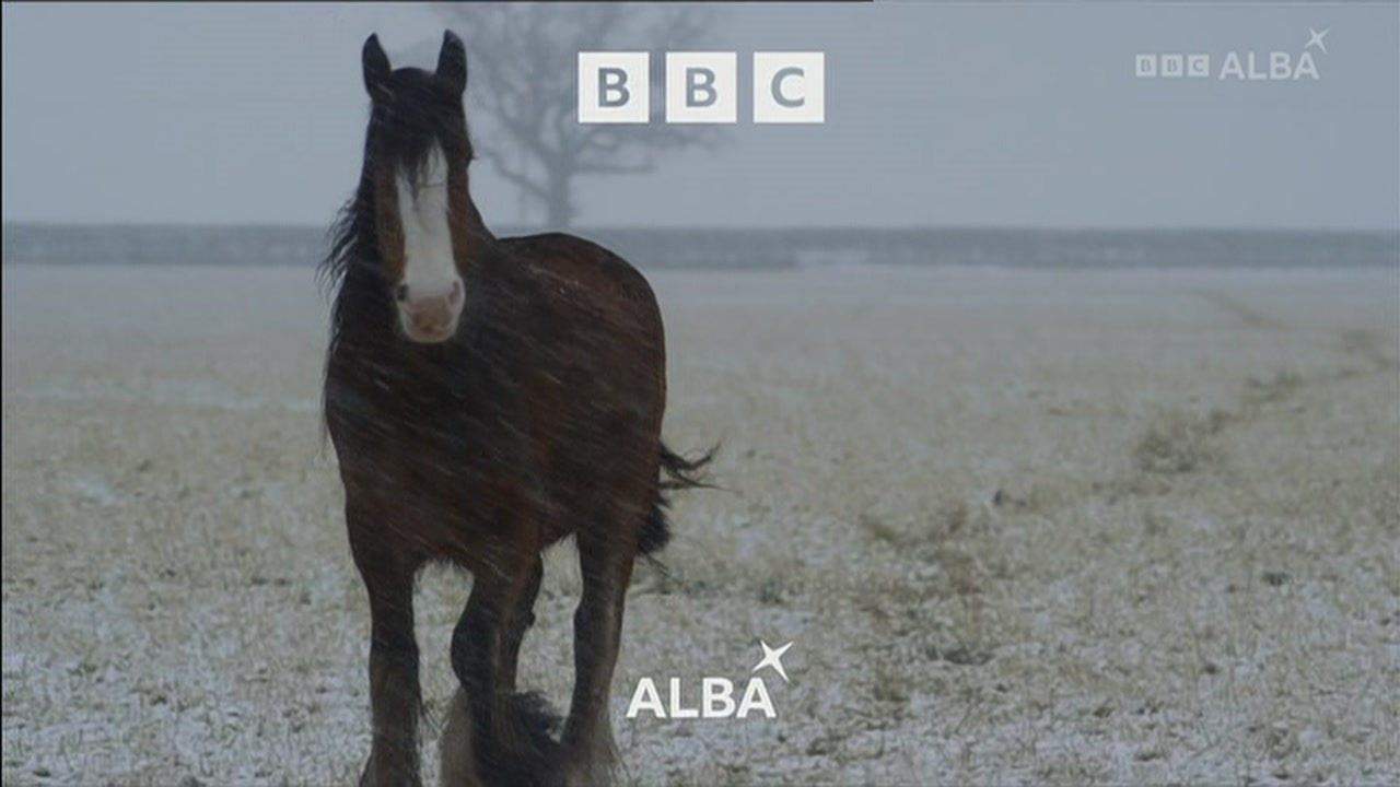 Thumbnail image for BBC Alba  - Christmas 2021
