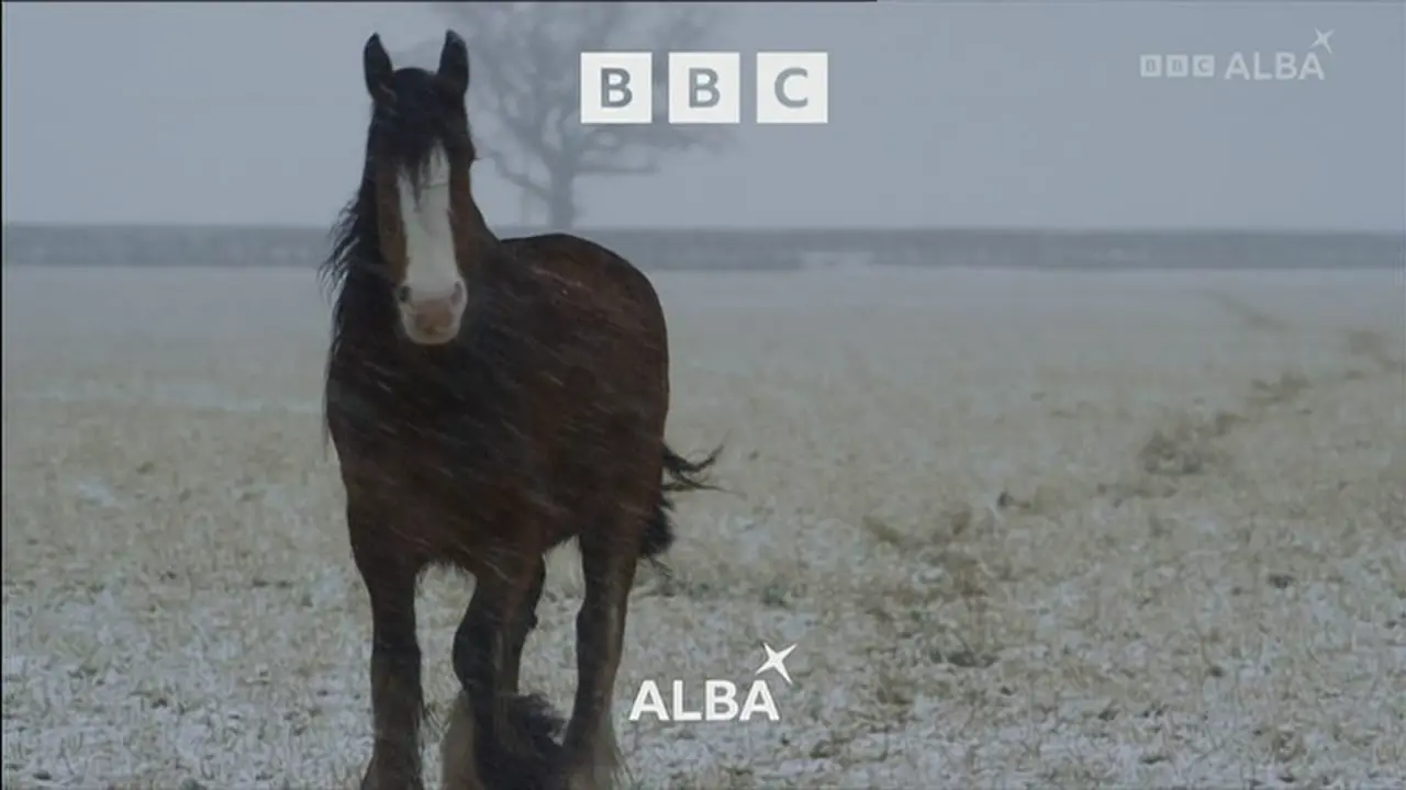 Thumbnail image for BBC Alba  - Christmas 2021