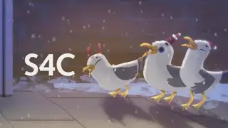 Thumbnail image for S4C (Gulls)  - Christmas 2021