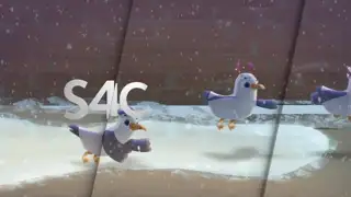 Thumbnail image for S4C (Break - Gulls)  - Christmas 2021