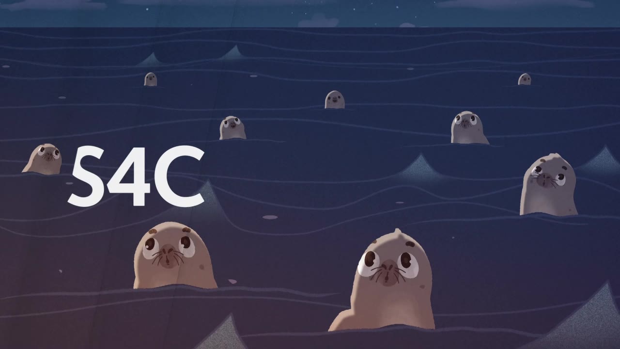 Thumbnail image for S4C (Break - Seals)  - Christmas 2021