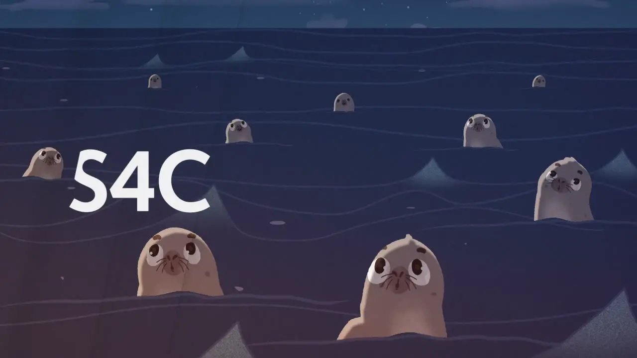 Thumbnail image for S4C (Break - Seals)  - Christmas 2021