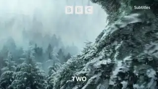 Thumbnail image for BBC Two (Trees/Magical)  - Christmas 2021
