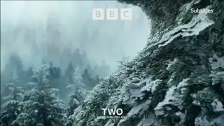 Thumbnail image for BBC Two NI (Trees/Magical)  - Christmas 2021