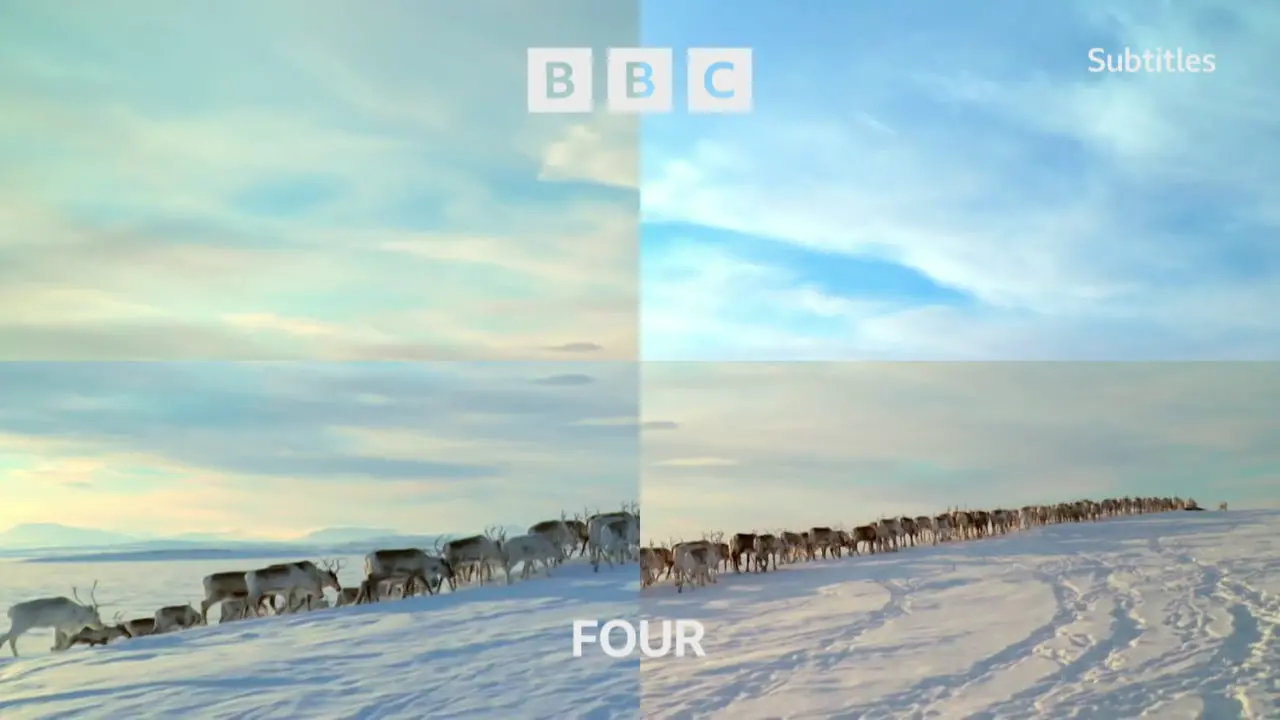 Thumbnail image for BBC Four (Reindeer)  - Christmas 2021