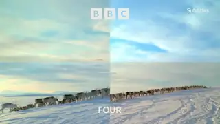 Thumbnail image for BBC Four (Reindeer)  - Christmas 2021