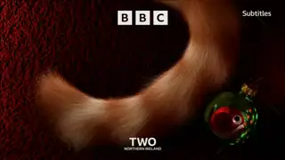 Thumbnail image for BBC Two NI (Cat/Cosy)  - Christmas 2021