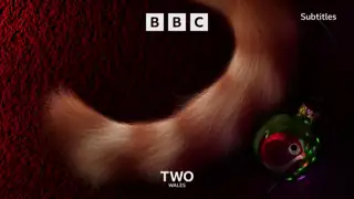 Thumbnail image for BBC Two Wales (Cat/Cosy)  - Christmas 2021