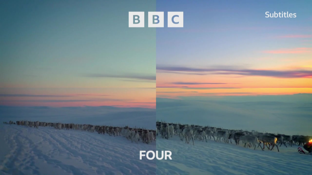 Thumbnail image for BBC Four (Reindeer 2)  - Christmas 2021