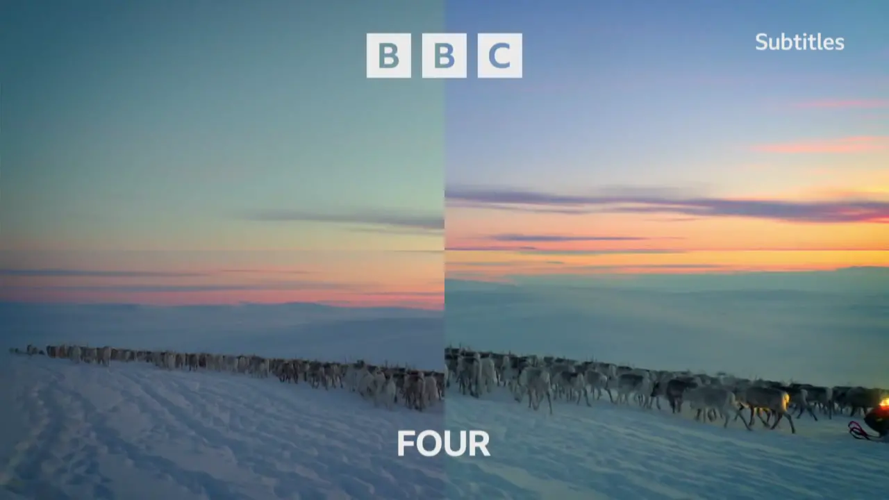 Thumbnail image for BBC Four (Reindeer 2)  - Christmas 2021