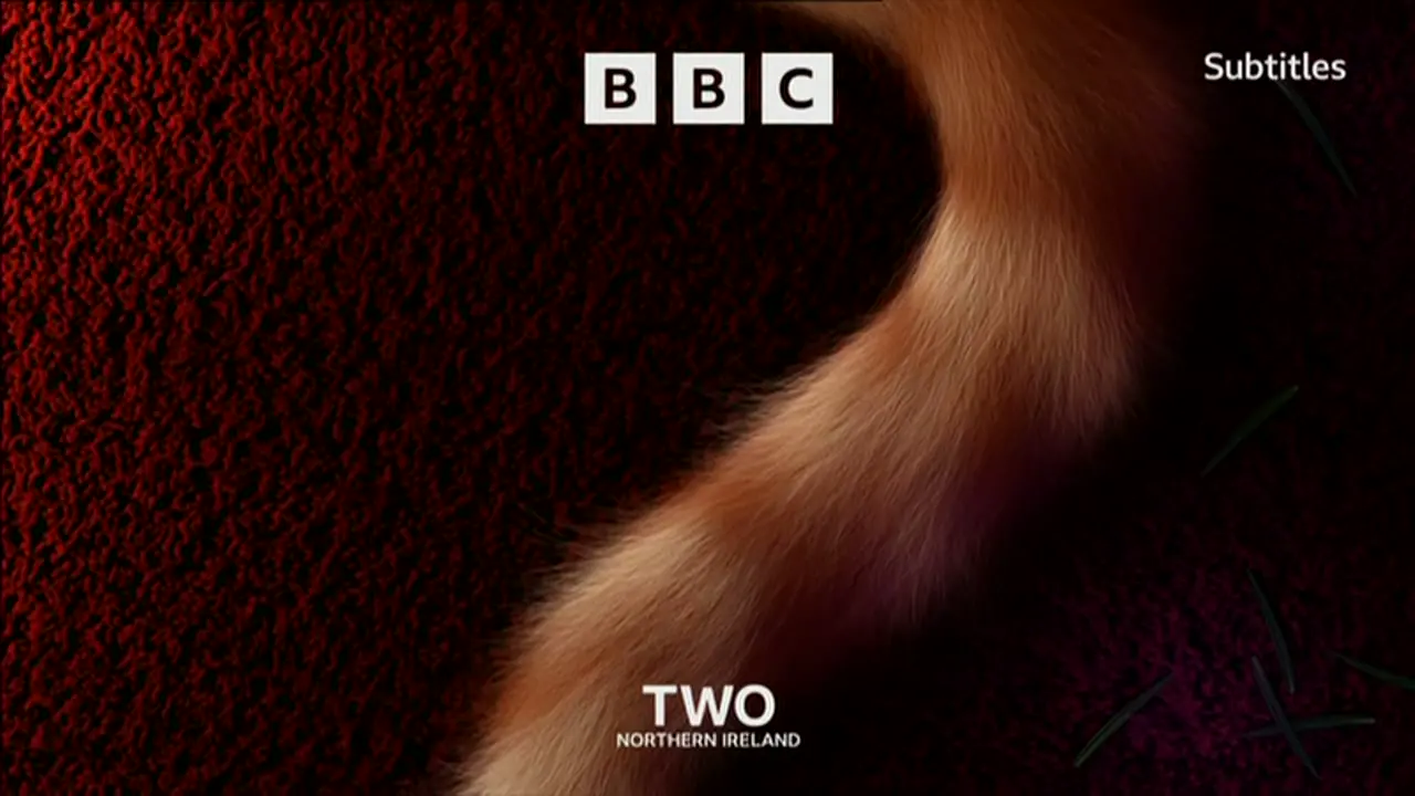 Thumbnail image for BBC Two NI (NYE - 10.40pm)  - 2021
