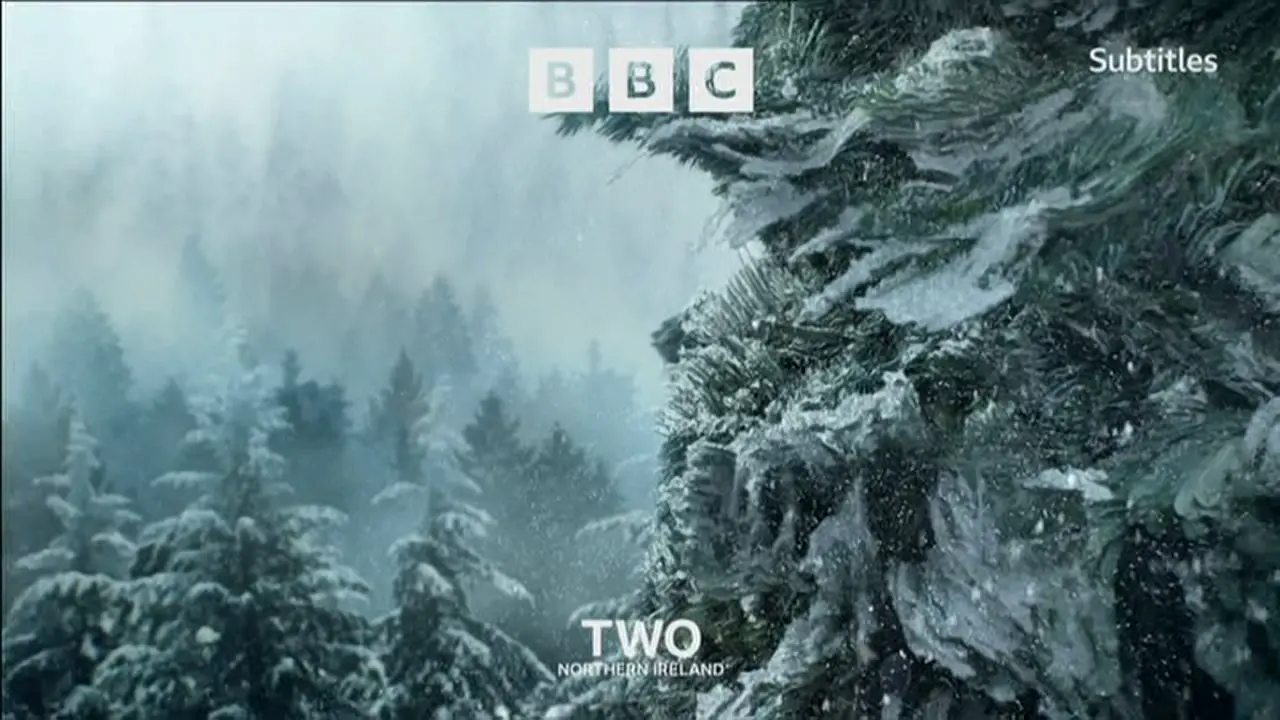 Thumbnail image for BBC Two NI (NYE - 11.25pm)  - 2021