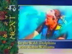 Thumbnail image for Tyne Tees Next - Xmas 1994 