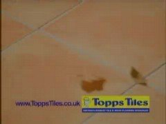 Thumbnail image for TTTV Weather End Autumn 2003 