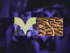 Thumbnail image for Yorkshire 2001 Short B 