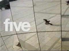 Thumbnail image for five 2003 - Skateboarders 