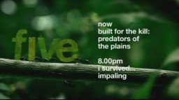 Thumbnail image for five 2005 - Ants 