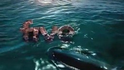 Thumbnail image for five 2005 - Ocean (Shark) 