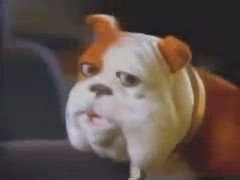 Thumbnail image for Churchill Insurance - 1996 