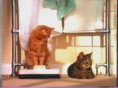 Thumbnail image for Kitekat - 1993 
