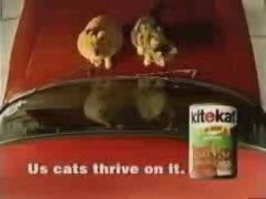 Thumbnail image for Kitekat - 1998 