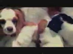 Thumbnail image for Pedigree Chum - 2001 