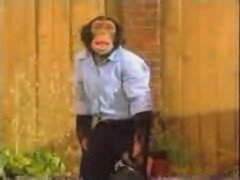 Thumbnail image for PG Tips - 1992 