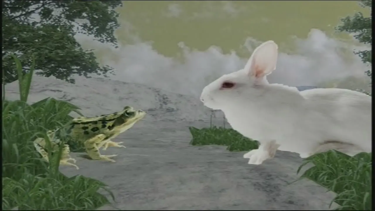 Thumbnail image for E4 (E-Sting - Rabbit and Frog)  - 2009