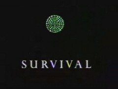 Thumbnail image for Survival - 1990 