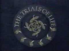 Thumbnail image for Trials Of Life - 1990 