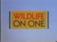 Thumbnail image for Wildlife on One - 1989 