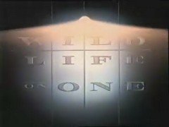 Thumbnail image for Wildlife on One - 1993 