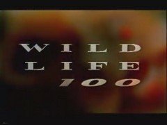 Thumbnail image for Wildlife 100 